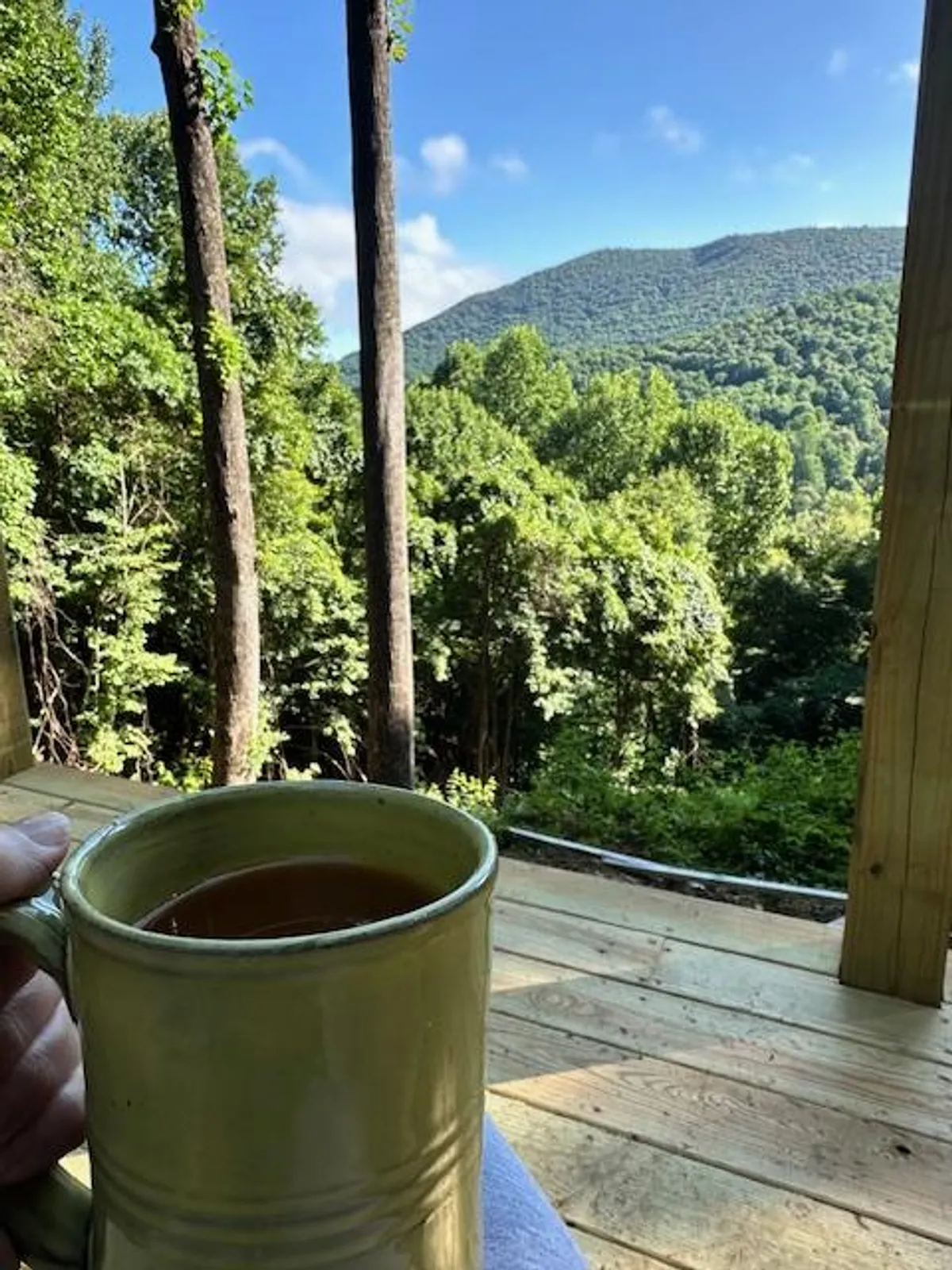 A close-up view of a coffee mug perched on a deck railing, looking out toward a breathtaking mountain landscape with lush greenery. The scene evokes peaceful mornings spent sipping coffee while taking in the vast countryside.